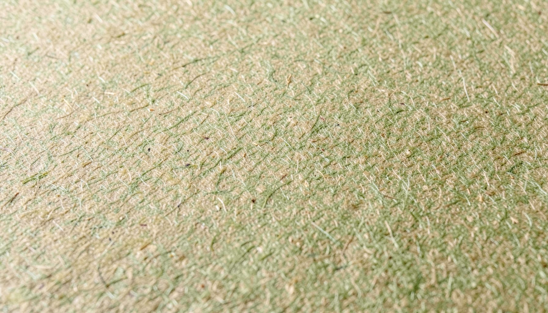 Gros plan sur une feuille de papier washi aux fibres apparentes, teintes naturelles beige et vert olive, texture organique